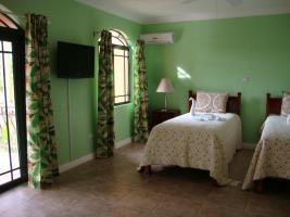 10 Bedroom Guesthouse - Montego Bay 肉桂山 外观 照片
