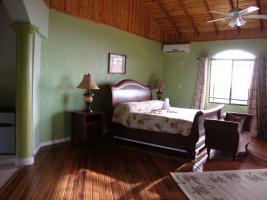 10 Bedroom Guesthouse - Montego Bay 肉桂山 外观 照片